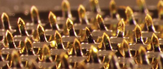 Microscopic array of sharp pins
